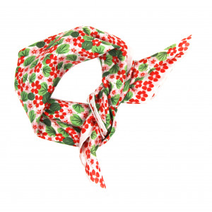 Mini Capucine Orange