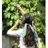 Mini Aralia Vert